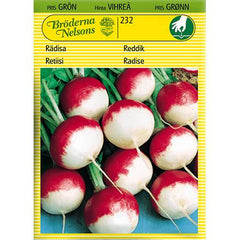 RÄDISA KOBENHAVNS TORV