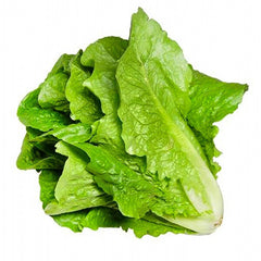 Sallad