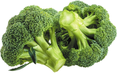 Broccoli