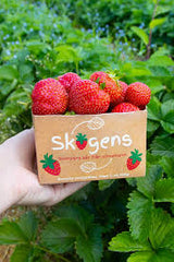 Jordgubbar i ask (400g) svensk