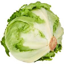 ICEBERG SALAD BAG