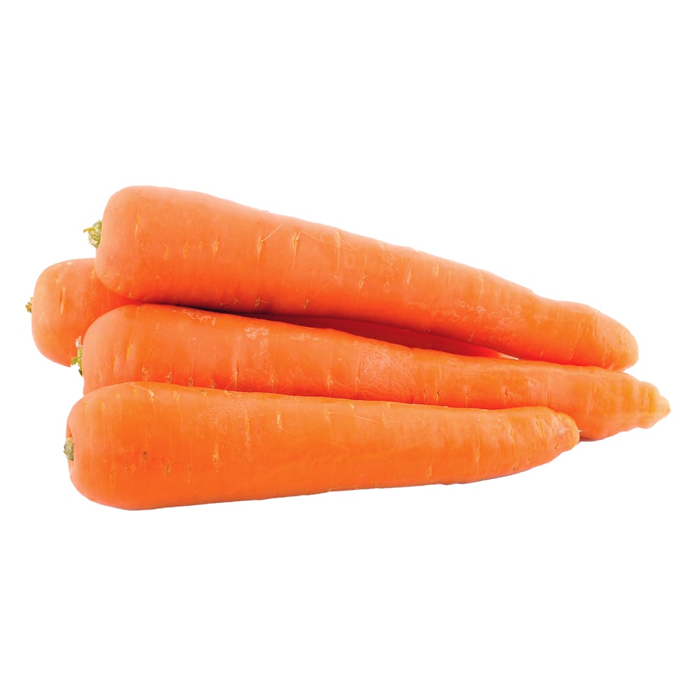 Carrot