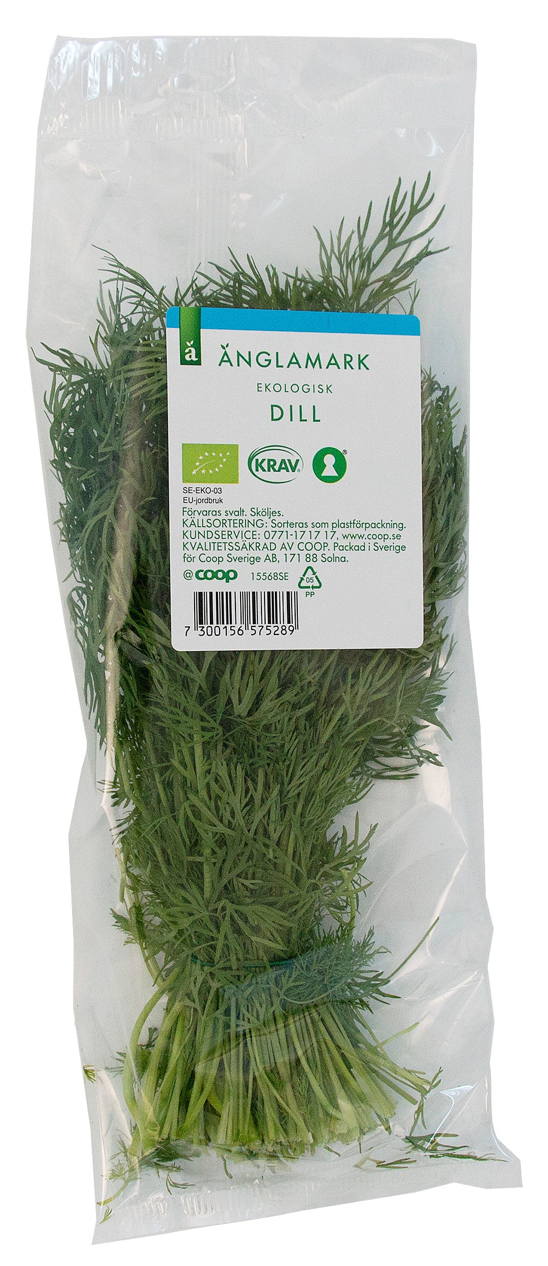 DILL BOX 20 G