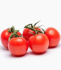 TOMATO SPRING RED